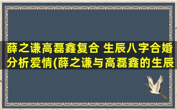 薛之谦高磊鑫复合 生辰八字合婚分析爱情(薛之谦与高磊鑫的生辰八字合婚分析，揭秘真实爱情故事)